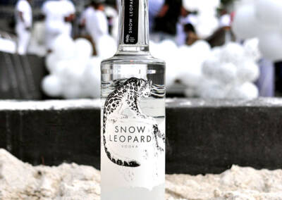 DSC 4043 ~ Snow Leopard Vodka Launch ~ photos@RGB