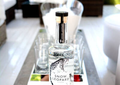 DSC 9080 ~ Snow Leopard Vodka Launch ~ photos@RGB